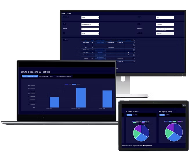 Likwidity is a non-brokered SaaS cash deposit marketplace between corporates and banks, delivering multi-bank, multi-currency, automated price discovery, revolutionizing risk, compliance, and maturity management.
